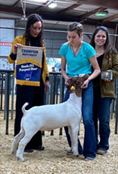 Newsom-Ripley Winner