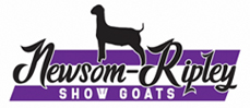 Newsom-Ripley Show Goats